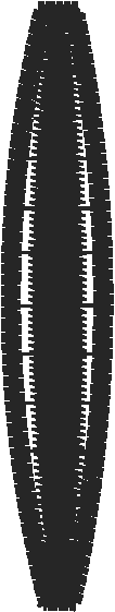Strap16