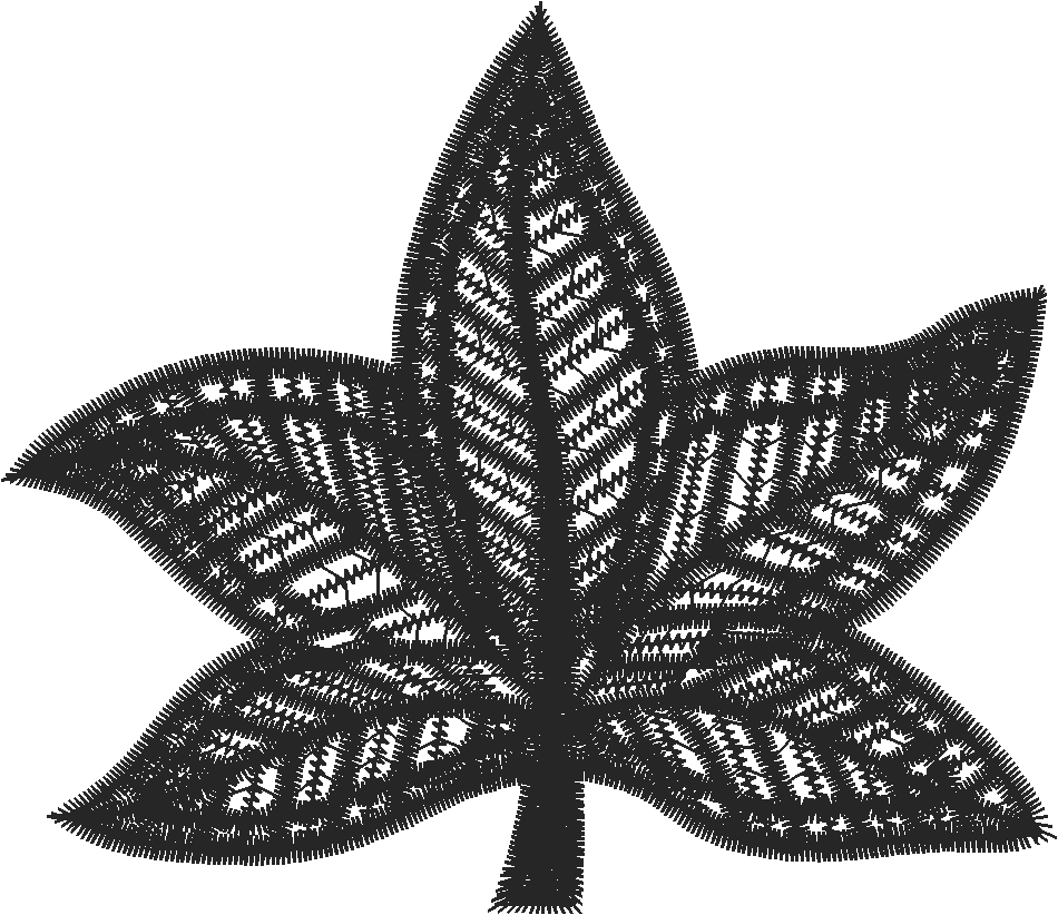 Sweetgum