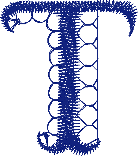 T