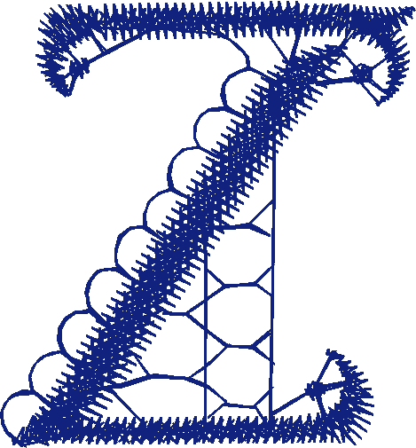 Z