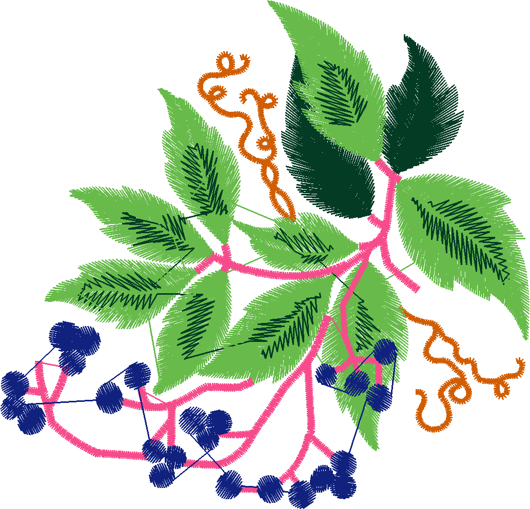 Leaves 1  (4)