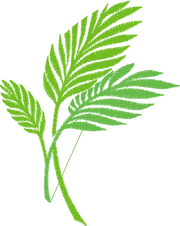 Leaves 3 (18)