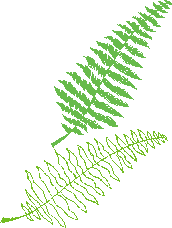 Leaves 3 (19)