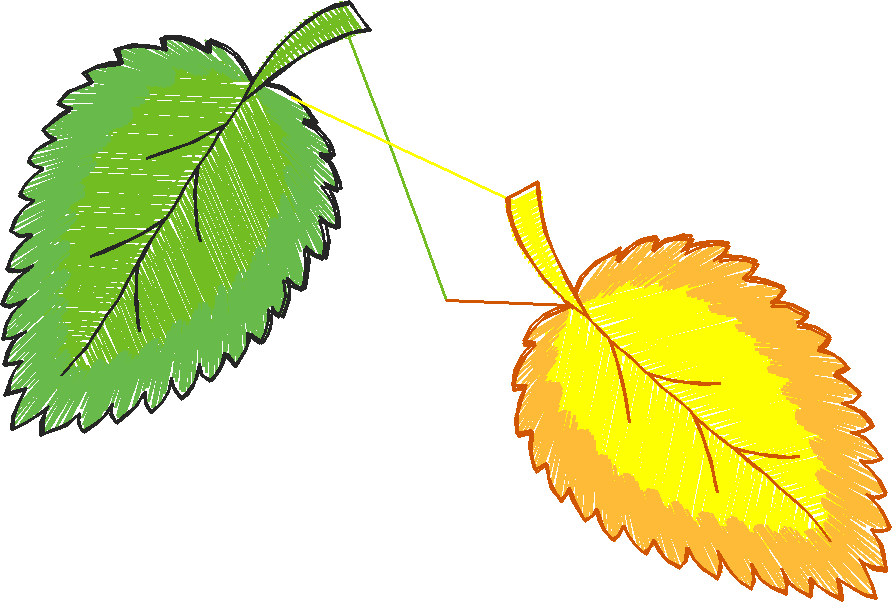Leaves 3 (22)