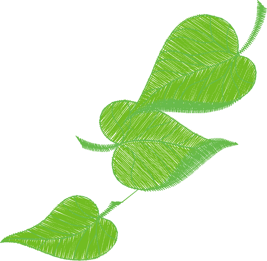 Leaves 3 (23)