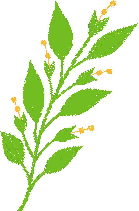 Leaves 3 (25)