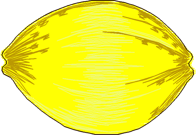 Lemons 1  (20)