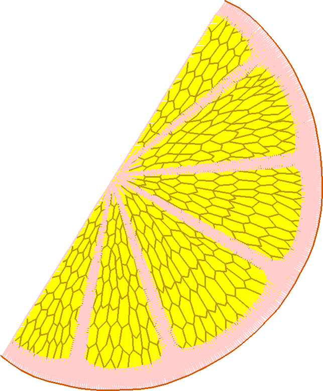 Lemons 1  (8)