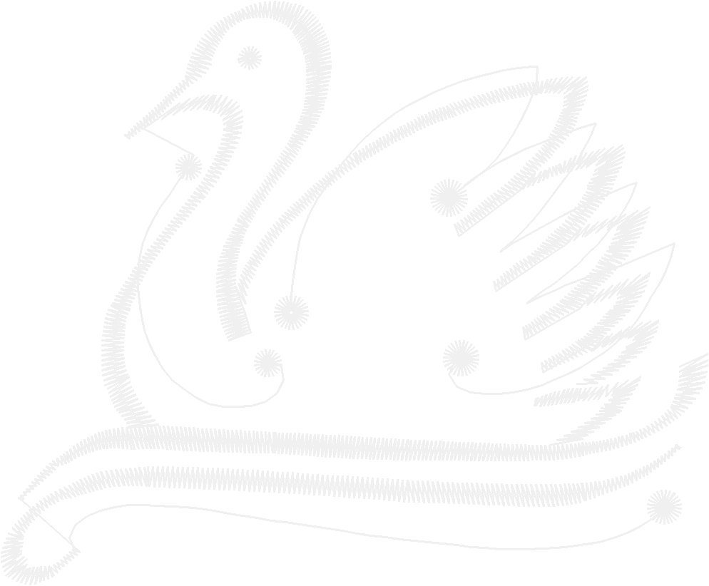 Outlines 1  (41)