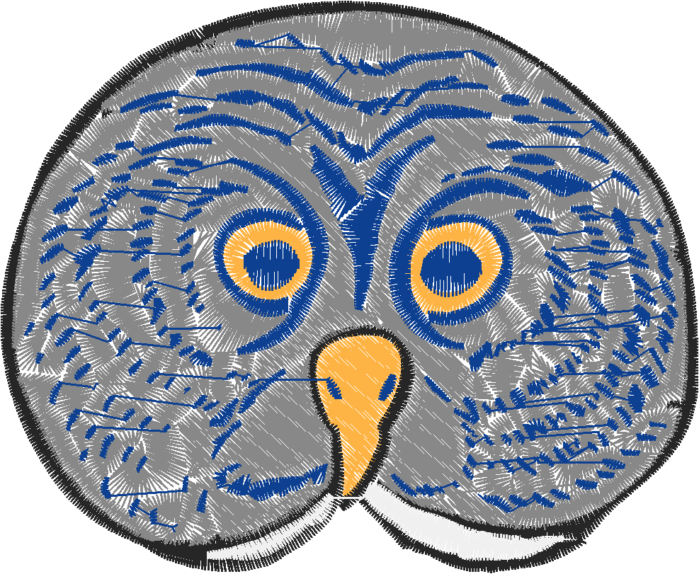 Owls That 1  (6)