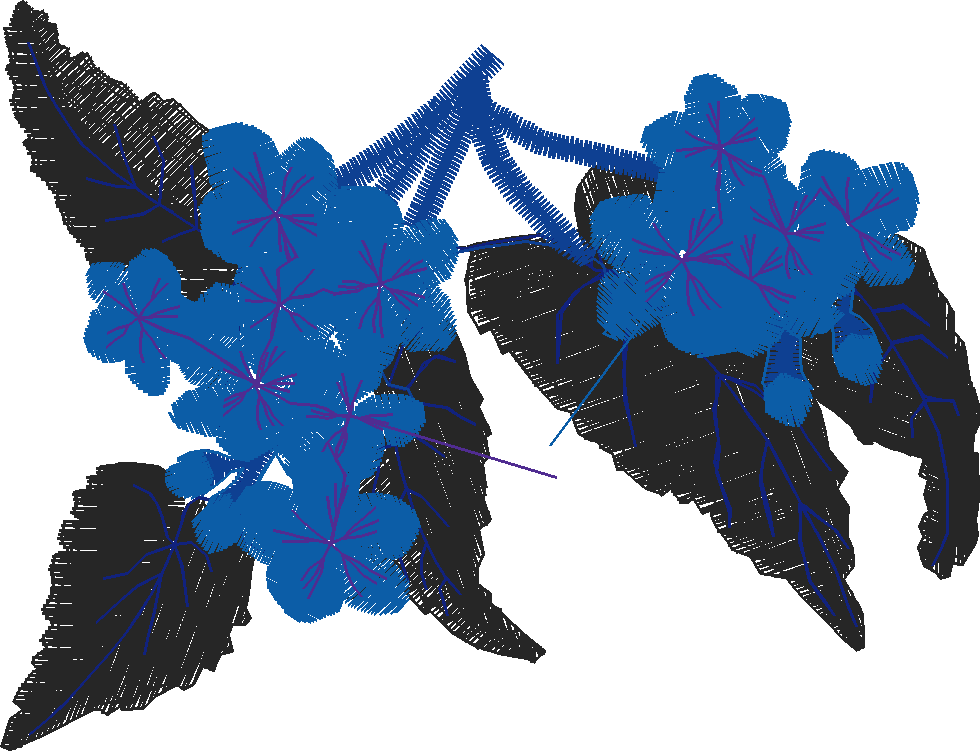 Oz 1  (21)
