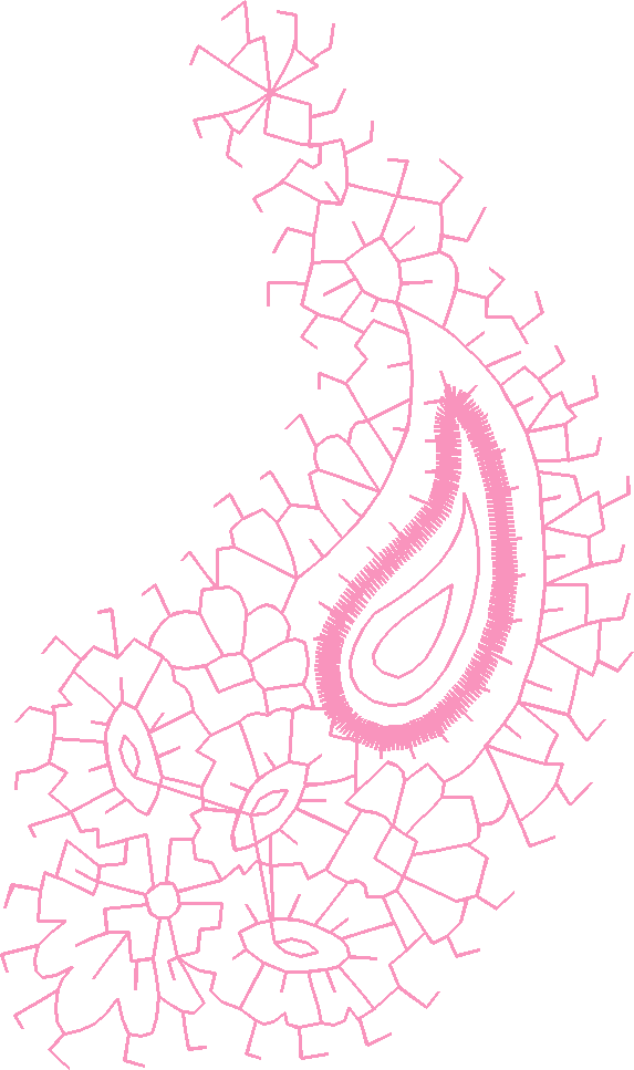 Paisley 1  (3)