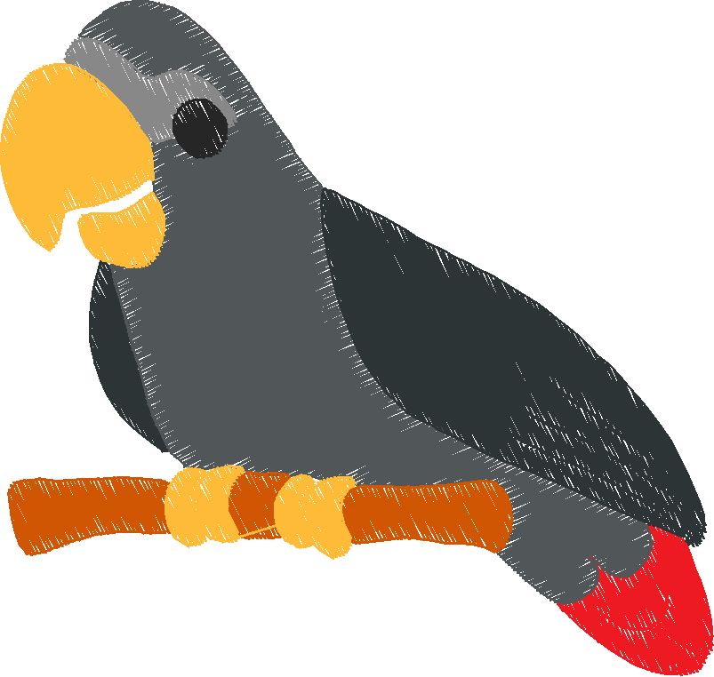 Parrots 1  (11)