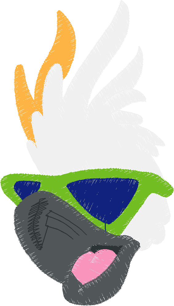 Parrots 1  (23)