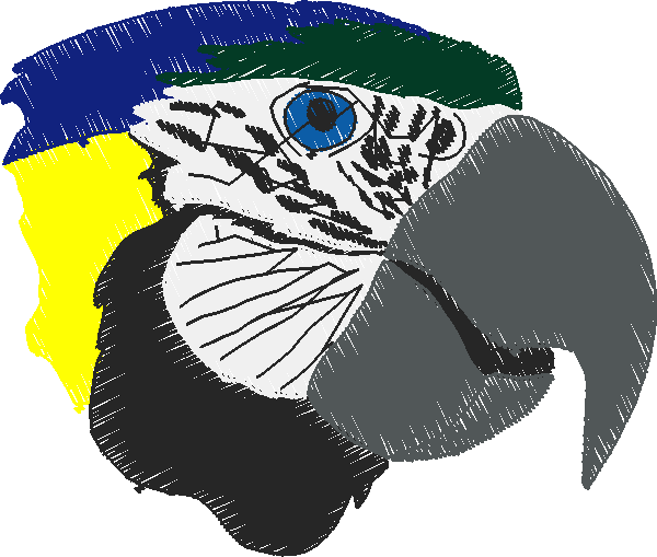 Parrots 1  (3)