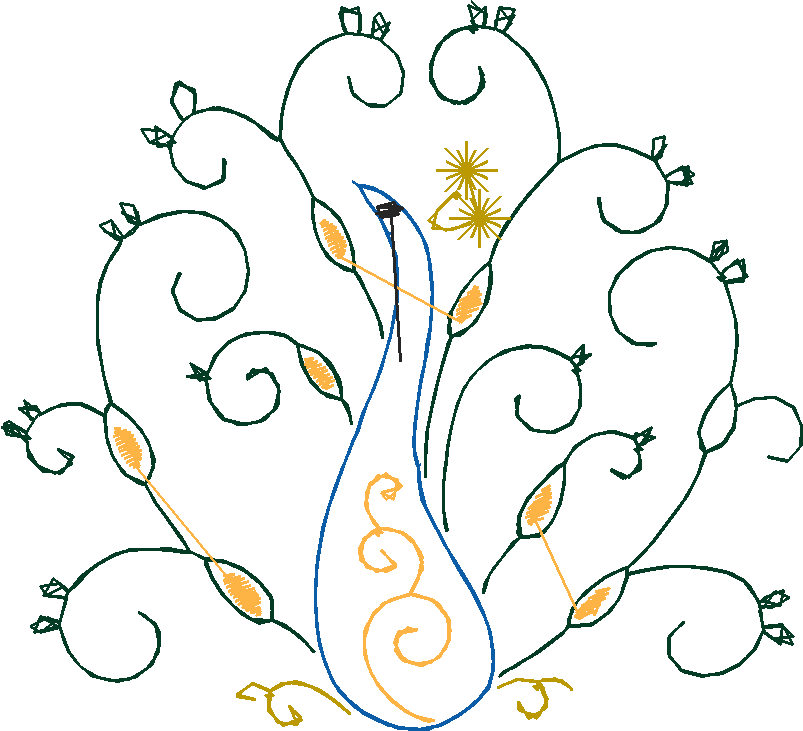 Peacocks 1  (4)