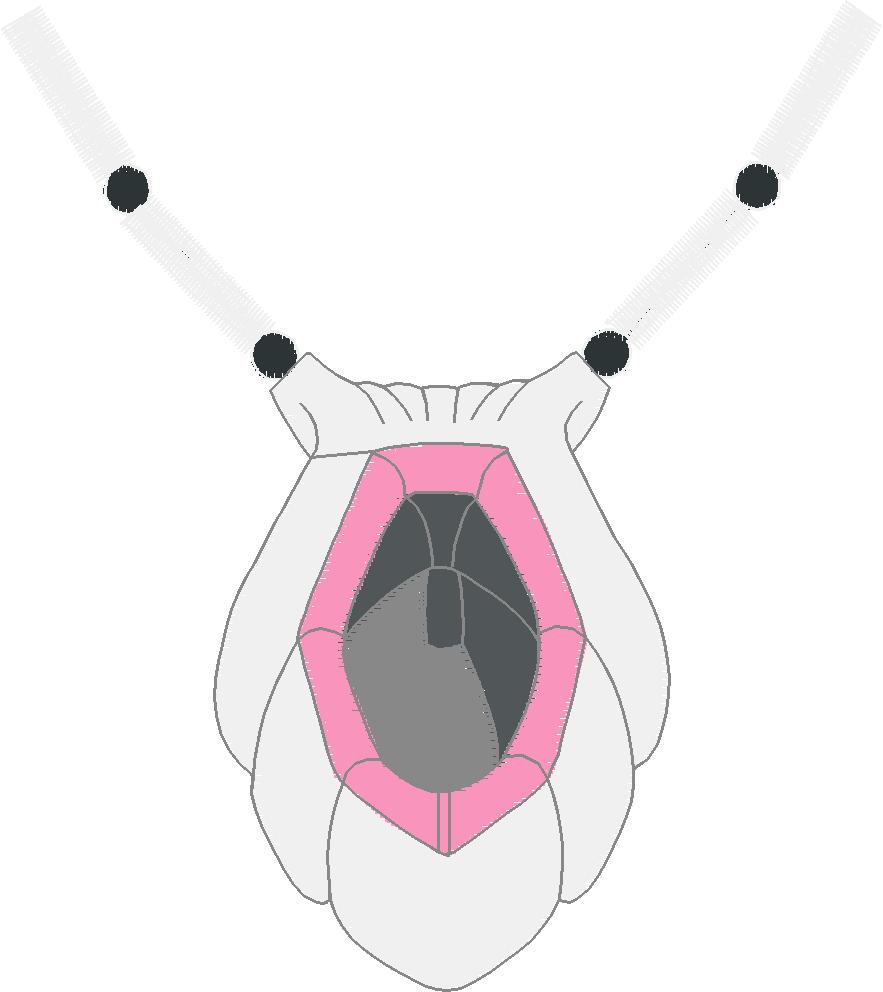 Nx035