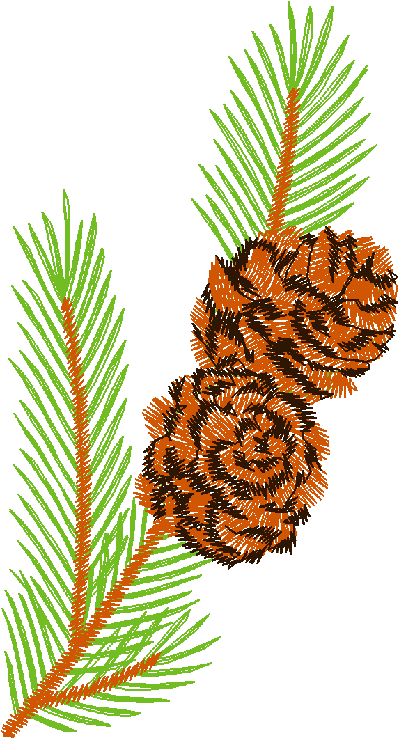 Pfaff 1  (76)