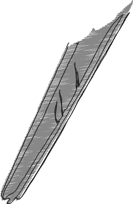 Pfaff 2  (184)