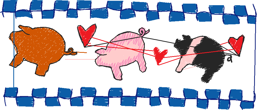 Pigs 1  (28)