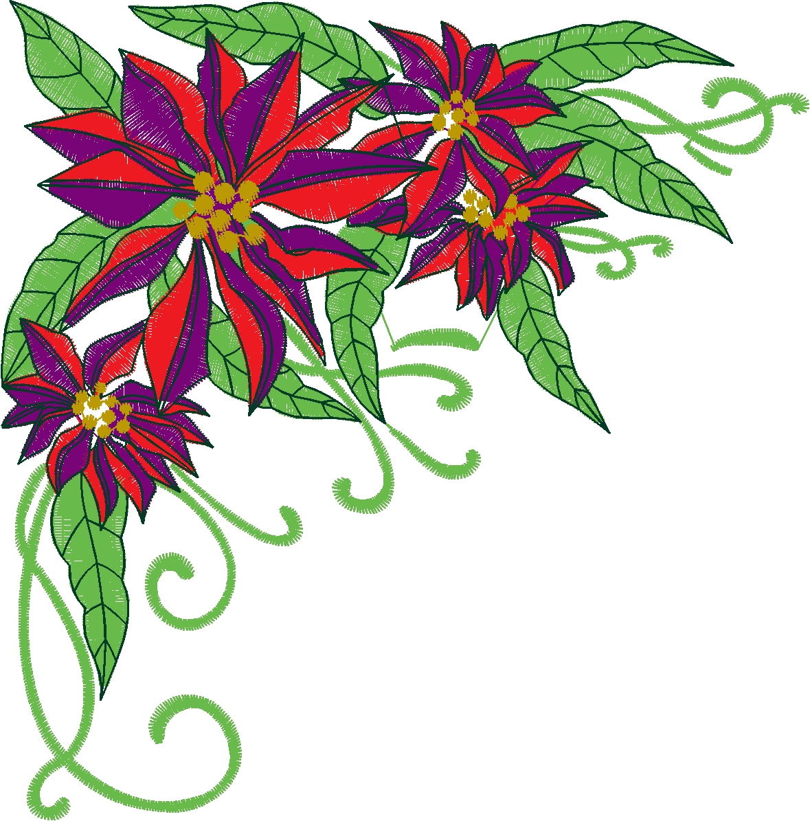 Poinsetta  (5)