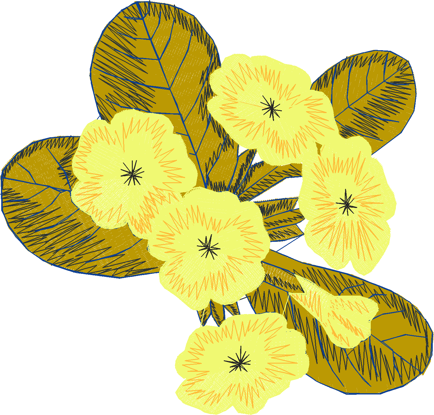 Primroses 1  (6)