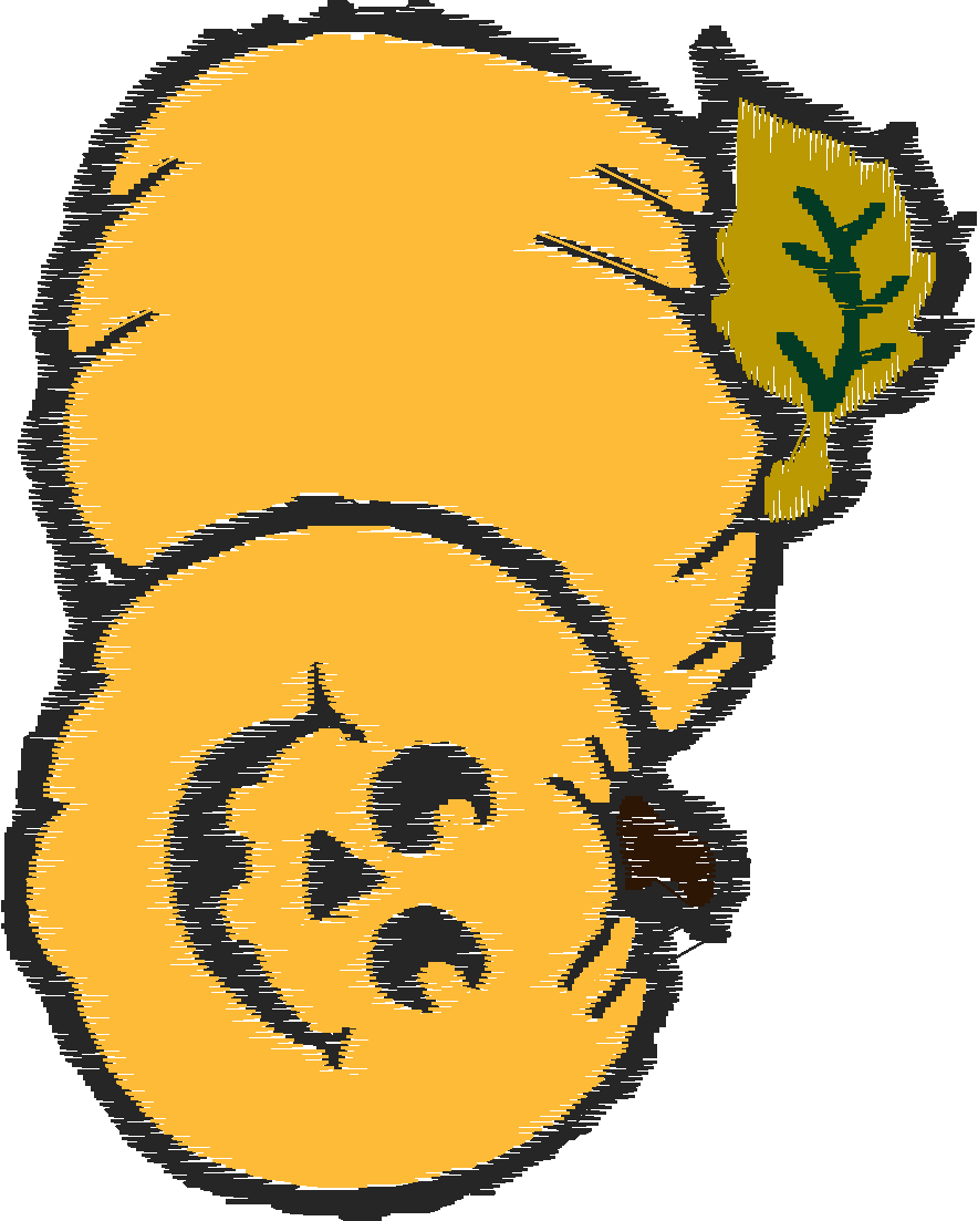 Pumpkins 1 (8)