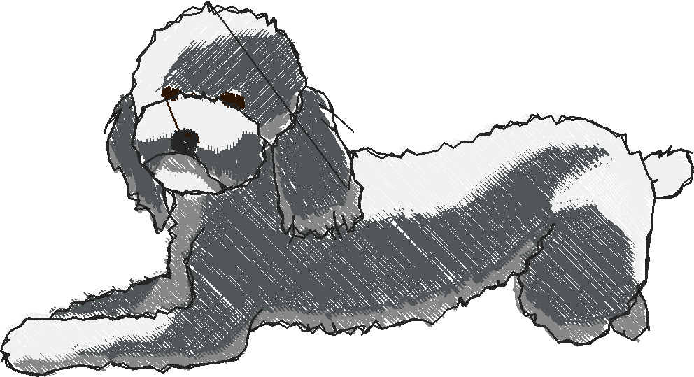 Puppies 5  (3)