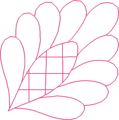 Quilting 14  (21)