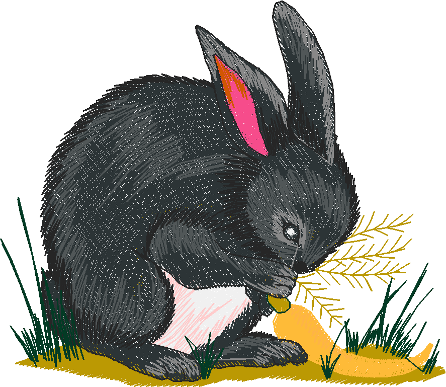 Rabbits 3  (11)