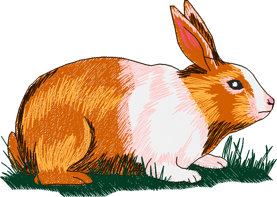 Rabbits 3  (13)