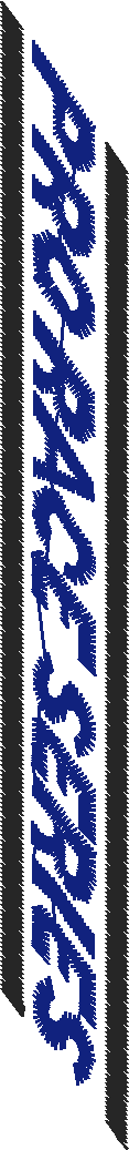 Race Banner 1  (18)