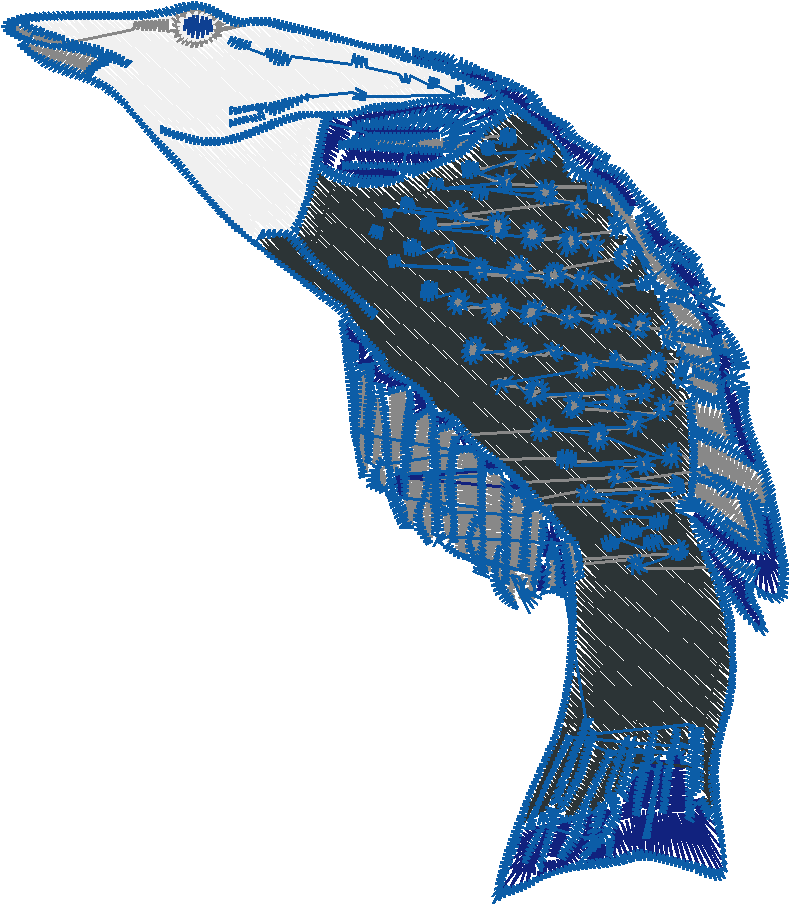 Realistic Fish  (3)